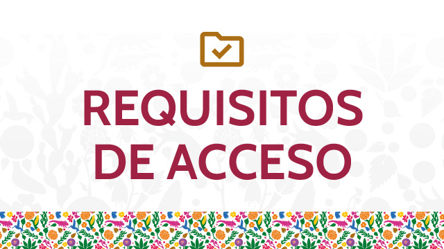 Requisitos de Acceso